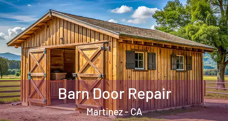  Barn Door Repair Martinez - CA