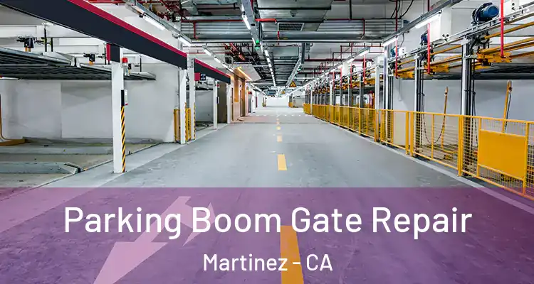  Parking Boom Gate Repair Martinez - CA